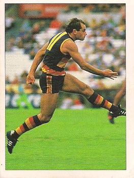 1992 Select AFL Stickers #13 Tony McGuinness Front